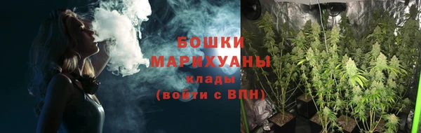 мдпв Козельск