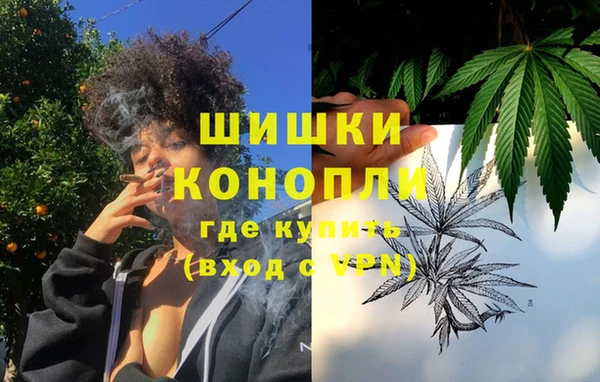 мдпв Козельск