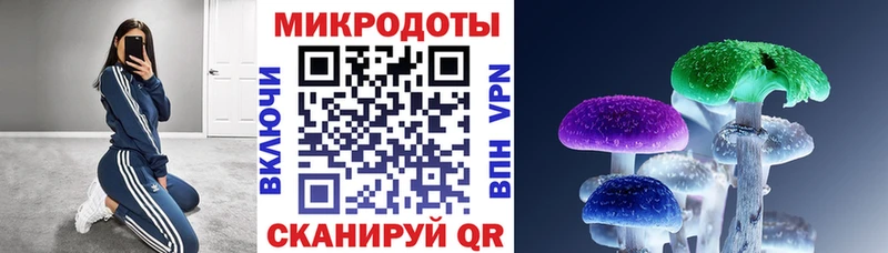 цена   Коркино  Псилоцибиновые грибы Cubensis 