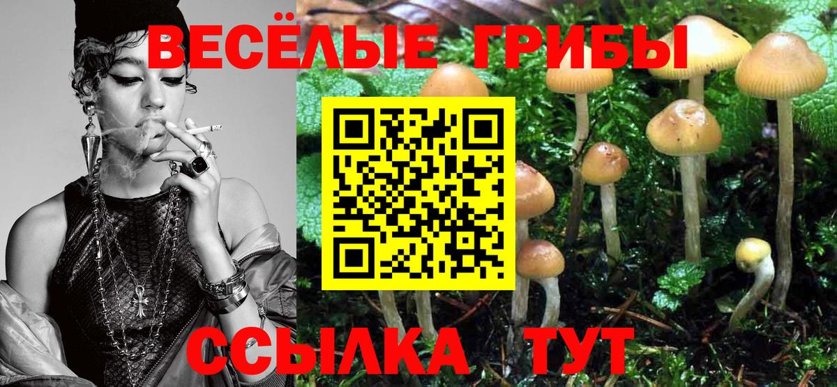 Галлюциногенные грибы прущие грибы  Вход с VPN  Коркино 